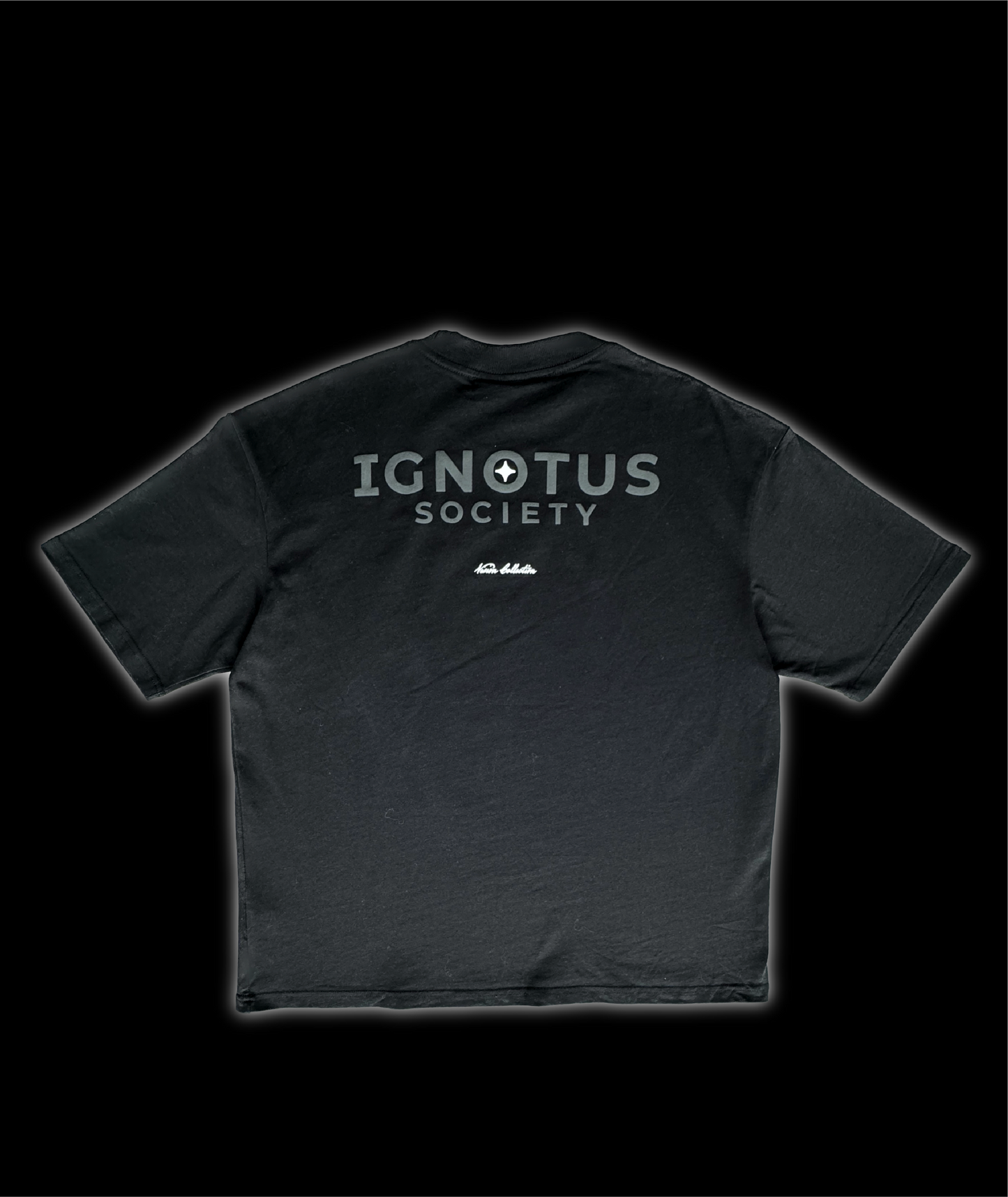 Heavyweight T-shirt (Black) - Vision Collection