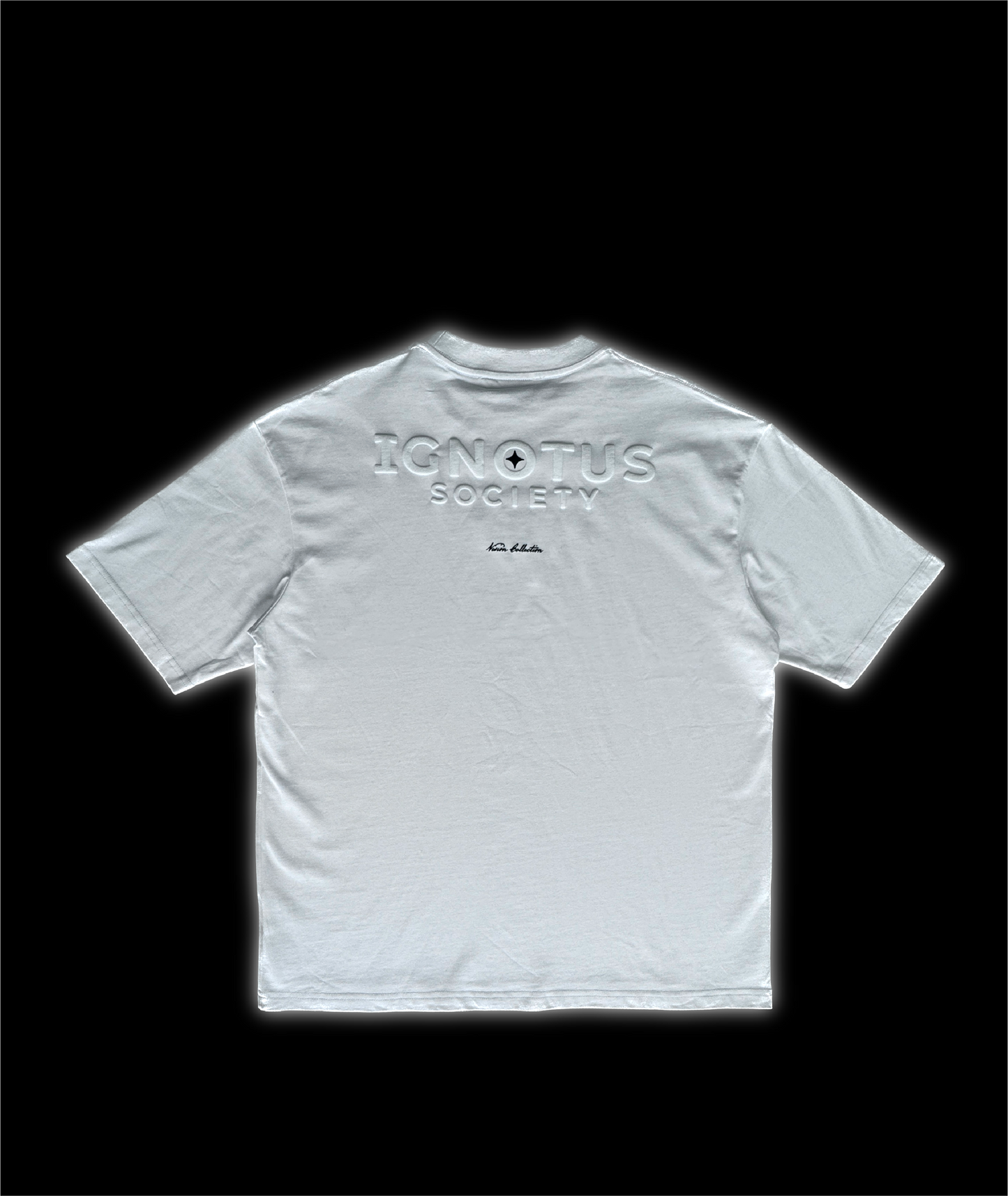 Heavyweight T-shirt (White) - Vision Collection